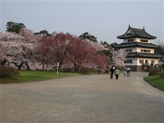 弘前城公園本丸