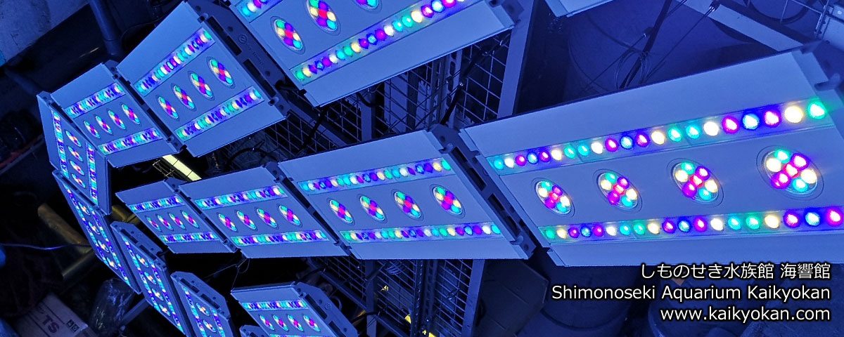 しものせき水族館 海響館 / Shinomoseki Aquarium Kaikyokan in Shimonoseki