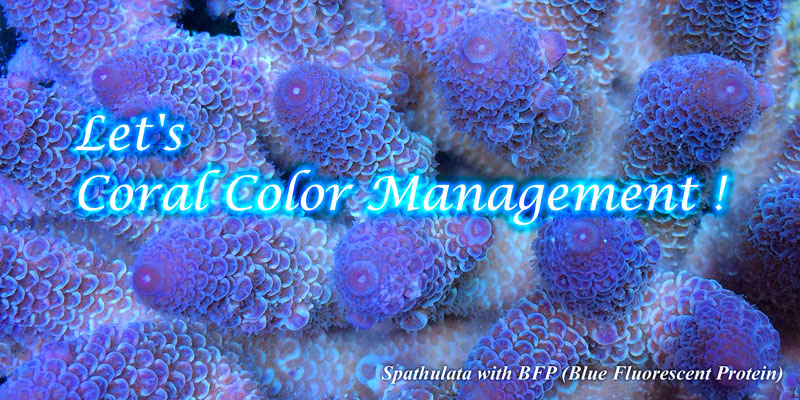 Let's Coral Color Management!