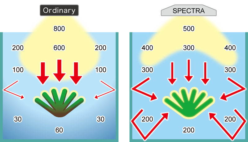 PPFD distribution comparison image with ordinary LED light