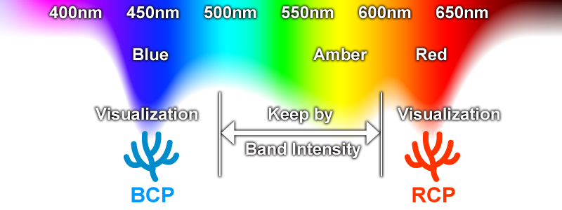 The light needed to color render and keep the Chromoproteins