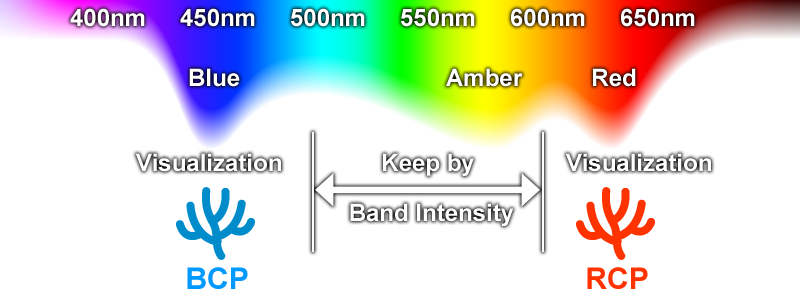 The light needed to color render and keep the Chromoproteins