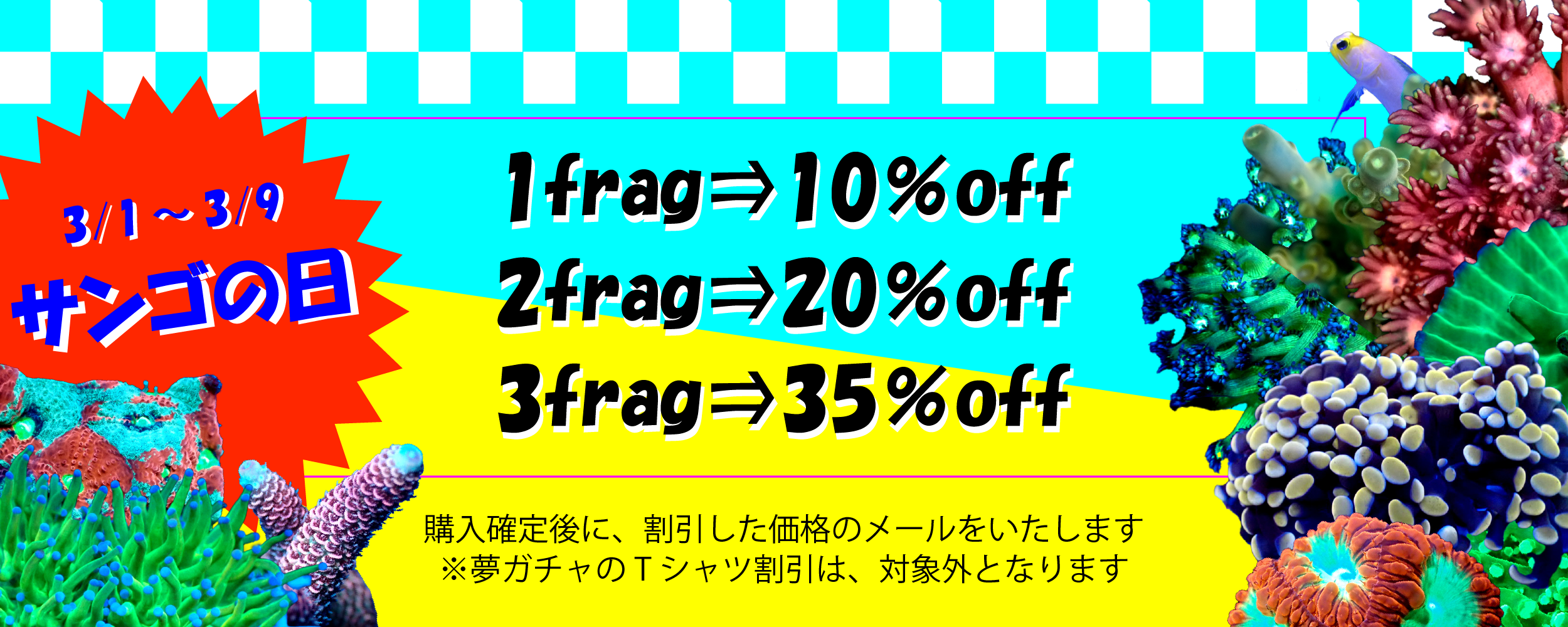 サンゴの日セール1フラグ10％2フラグ20％3フラグ35％オフ